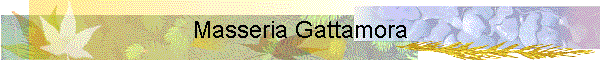 Masseria Gattamora